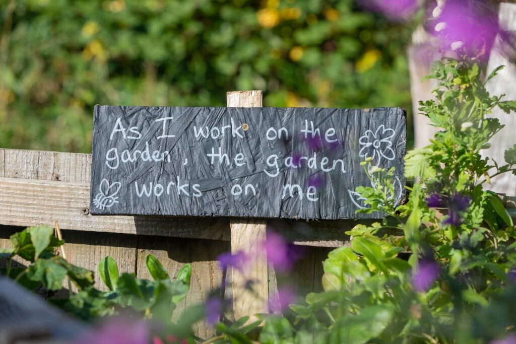 plant-a-garden-with-teenage-daughter
