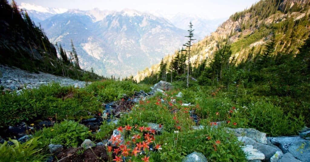 washington-state-parks