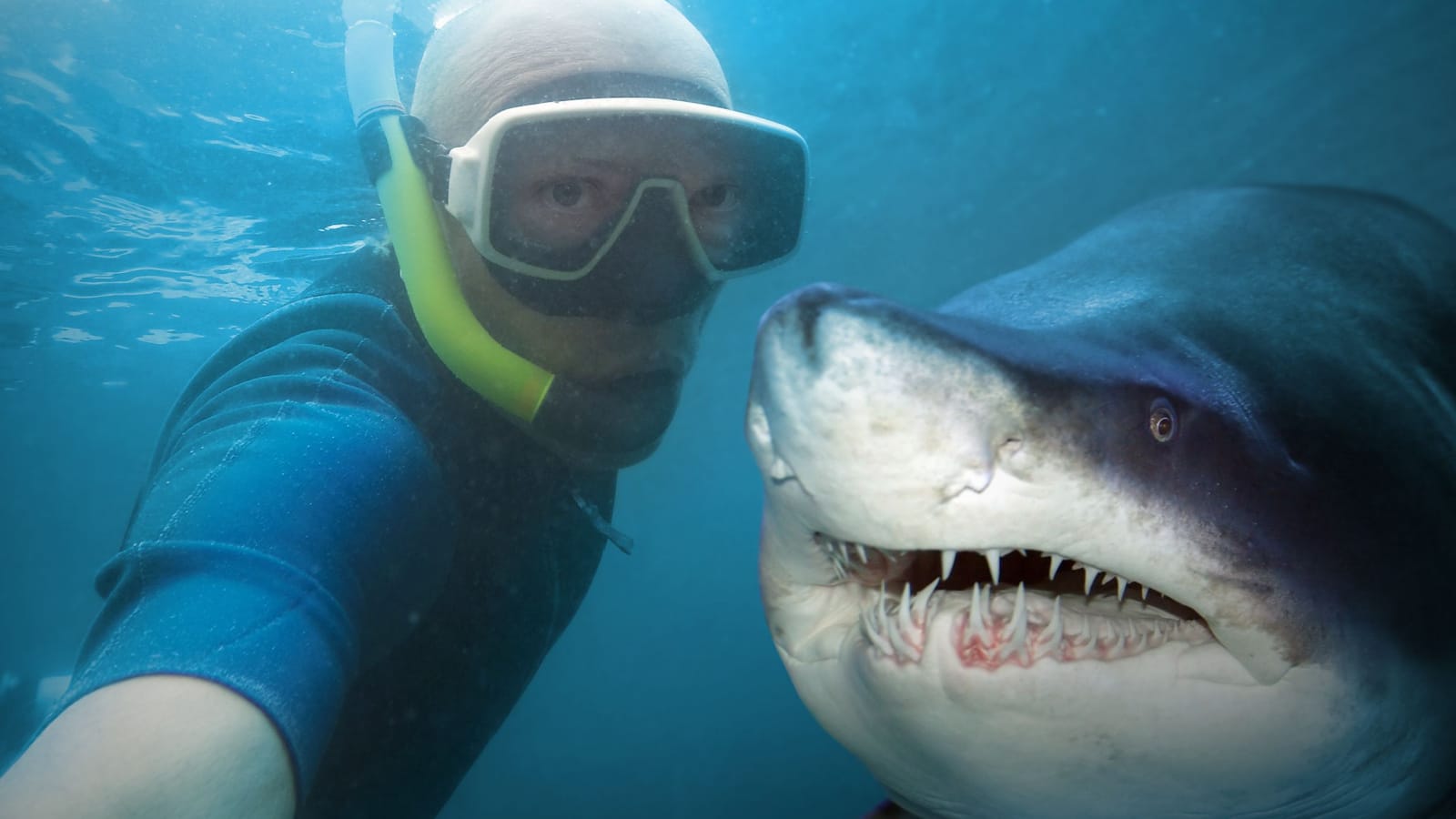 men shark